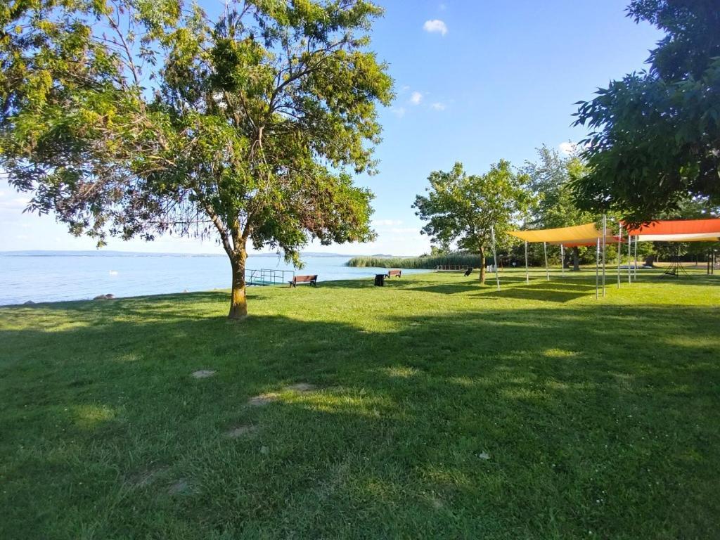 Sir David Balaton Castle Apartmanok بالاتونزيبيد المظهر الخارجي الصورة