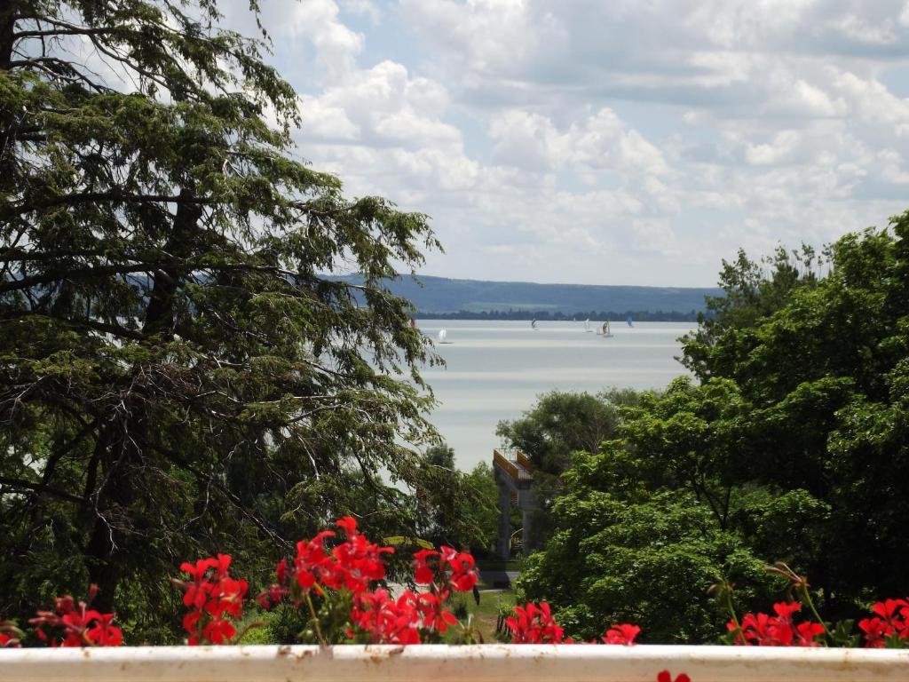 Sir David Balaton Castle Apartmanok بالاتونزيبيد المظهر الخارجي الصورة