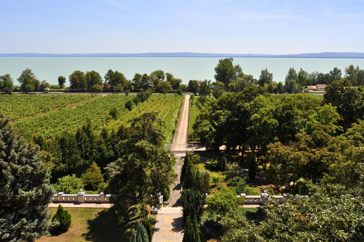 Sir David Balaton Castle Apartmanok بالاتونزيبيد المظهر الخارجي الصورة