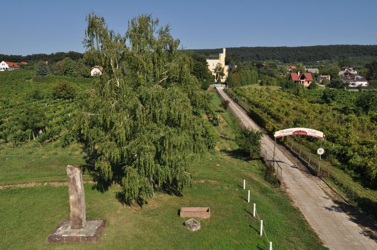 Sir David Balaton Castle Apartmanok بالاتونزيبيد المظهر الخارجي الصورة